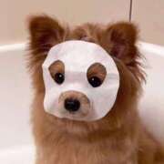 ヒメ日記 2026/02/26 19:54 投稿 初恋るか 全裸美女からのカゲキな誘惑