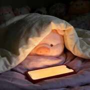 ヒメ日記 2026/04/04 00:28 投稿 初恋るか 全裸美女からのカゲキな誘惑