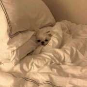 ヒメ日記 2026/04/05 21:08 投稿 初恋るか 全裸美女からのカゲキな誘惑