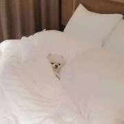 ヒメ日記 2026/04/12 18:34 投稿 初恋るか 全裸美女からのカゲキな誘惑