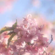 ヒメ日記 2026/03/17 20:07 投稿 ゆう バッドカンパニー水戸