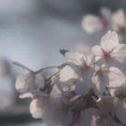 ヒメ日記 2026/03/29 22:31 投稿 ゆう バッドカンパニー水戸