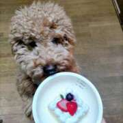 ヒメ日記 2026/04/03 23:35 投稿 りつこ 完熟ばなな新宿