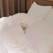 奈半利るか お疲れ様です🍵 THE痴漢電車.com