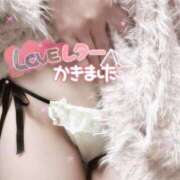 ヒメ日記 2026/03/08 20:22 投稿 優衣奈(ゆいな) PLUS梅田店