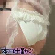 ヒメ日記 2026/03/09 10:22 投稿 優衣奈(ゆいな) PLUS梅田店