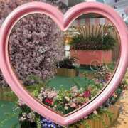 ヒメ日記 2026/03/13 15:12 投稿 優衣奈(ゆいな) PLUS梅田店