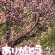 ヒメ日記 2026/03/18 16:12 投稿 優衣奈(ゆいな) PLUS梅田店