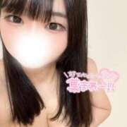 ヒメ日記 2026/02/17 11:42 投稿 のどか 若妻LOVE