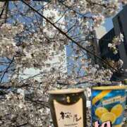 ヒメ日記 2026/03/30 00:51 投稿 江端(えばた) 熟女出逢い会 『百合の園』 五反田店