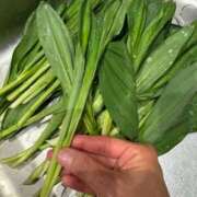 ヒメ日記 2026/04/16 09:19 投稿 桜　えりな 雫(しずく)