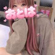 ヒメ日記 2026/05/14 08:48 投稿 おとは 松戸角海老岩瀬店