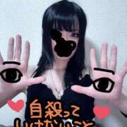 ヒメ日記 2026/03/24 01:33 投稿 かなで プロフィール 京都店
