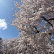 ヒメ日記 2026/04/18 14:57 投稿 ひまり SPIN(スピン)