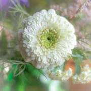 ヒメ日記 2026/04/04 09:21 投稿 ここみ プレイガール(亀有)