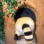 ヒメ日記 2026/03/03 12:02 投稿 あん XSTASY（エクスタシー）