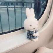 まなつ 一時帰宅😿 ラブ・アンド・ラブ