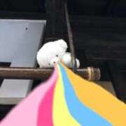 ヒメ日記 2026/05/17 17:16 投稿 まなつ ラブ・アンド・ラブ