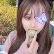 ヒメ日記 2026/02/22 10:14 投稿 姫柊ありす ブルーバード