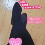 ヒメ日記 2026/02/22 23:34 投稿 藍川　せなり エテルナ京都