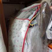 ヒメ日記 2026/04/01 21:02 投稿 松井理子(まついりこ) 姫路マダム大奥