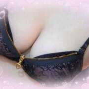 ヒメ日記 2026/04/12 02:22 投稿 松井理子(まついりこ) 姫路マダム大奥