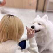 ヒメ日記 2026/03/10 08:34 投稿 あゆ メイドde本舗