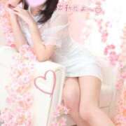ヒメ日記 2026/05/23 16:24 投稿 さちな The White