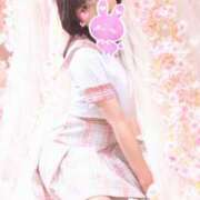 ヒメ日記 2026/05/24 10:45 投稿 さちな The White