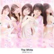 ヒメ日記 2026/05/28 16:28 投稿 さちな The White