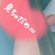 ヒメ日記 2026/02/19 12:02 投稿 ひなき 艶熟妻 京都店