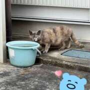 ヒメ日記 2026/02/23 08:58 投稿 葵 -あおい- ティアラ(小名浜)