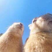 ヒメ日記 2026/03/21 20:21 投稿 衣更とうり 手コキ研修塾