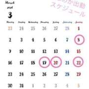 ヒメ日記 2026/03/04 08:38 投稿 水野ほのか 大人めシンデレラ 新横浜店（シンデレラグループ）