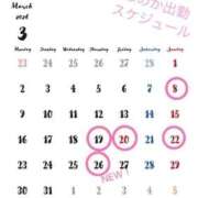 ヒメ日記 2026/03/14 08:11 投稿 水野ほのか 大人めシンデレラ 新横浜店（シンデレラグループ）