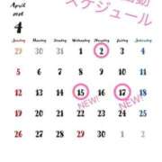 ヒメ日記 2026/04/01 02:14 投稿 水野ほのか 大人めシンデレラ 新横浜店（シンデレラグループ）