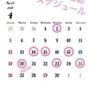 ヒメ日記 2026/04/14 18:01 投稿 水野ほのか 大人めシンデレラ 新横浜店（シンデレラグループ）