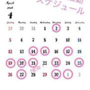 ヒメ日記 2026/04/21 14:14 投稿 水野ほのか 大人めシンデレラ 新横浜店（シンデレラグループ）