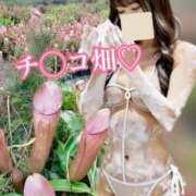 さき 🩷さきファンのみんなへ🩷 ごほうびSPA 新宿店