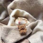 ヒメ日記 2026/03/09 23:33 投稿 りか★完全未経験敏感美少女 立川女学園