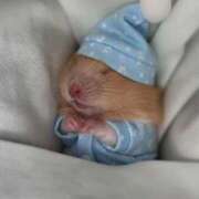 ヒメ日記 2026/03/14 02:53 投稿 りか★完全未経験敏感美少女 立川女学園