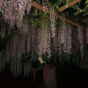 ヒメ日記 2026/02/25 00:35 投稿 日向坂みらん【PREMIUM】 素人専門キラキラ学園