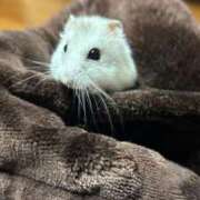 ヒメ日記 2026/03/12 22:45 投稿 日向坂みらん【PREMIUM】 素人専門キラキラ学園