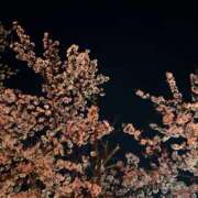 ヒメ日記 2026/03/23 15:45 投稿 日向坂みらん【PREMIUM】 素人専門キラキラ学園