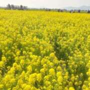 ヒメ日記 2026/04/01 02:55 投稿 日向坂みらん【PREMIUM】 素人専門キラキラ学園