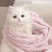 ヒメ日記 2026/04/04 23:45 投稿 日向坂みらん【PREMIUM】 素人専門キラキラ学園