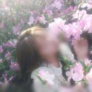 ヒメ日記 2026/04/08 00:34 投稿 日向坂みらん【PREMIUM】 素人専門キラキラ学園