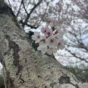 ヒメ日記 2026/04/09 20:05 投稿 日向坂みらん【PREMIUM】 素人専門キラキラ学園