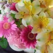 ヒメ日記 2026/04/24 13:53 投稿 杉並245(suginami) 健康寿命を延ばす！恋愛コミュニティ otsto(オトスト)