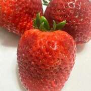 ヒメ日記 2026/02/18 00:40 投稿 きい 白いぽっちゃりさん仙台店